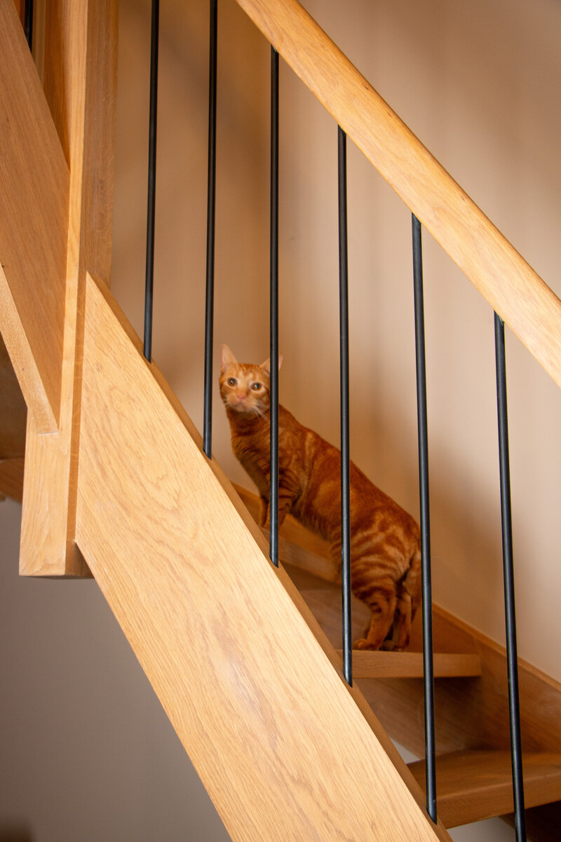 Featured image for “Moderne houten trap met metalen balusters in Kalmthout”